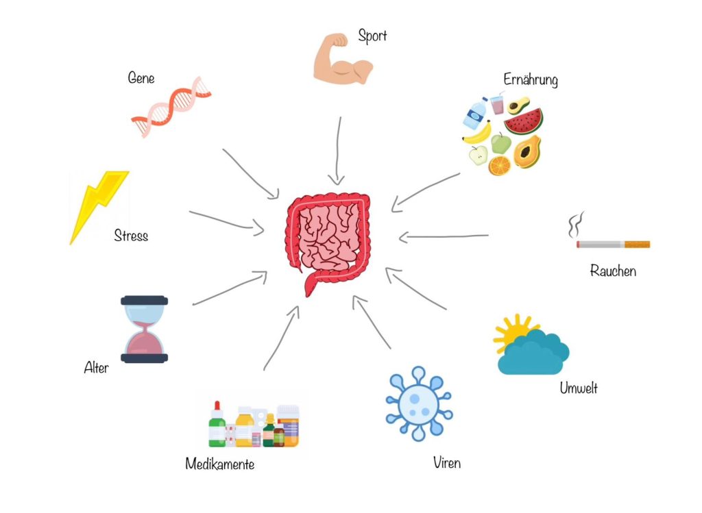 Illustration eines menschlichen Darms in der Mitte, umgeben von Symbolen, die verschiedene Einflüsse auf die Darmgesundheit darstellen. Die Einflüsse sind: Sport (Bizeps-Symbol), Ernährung (Lebensmittel-Symbole), Rauchen (Zigarette), Umwelt (Sonne und Wolke), Viren (Virus-Symbol), Medikamente (Fläschchen und Pillen), Alter (Sanduhr), Stress (Blitz-Symbol) und Gene (DNA-Strang). Pfeile zeigen von den Symbolen zum Darm, um die Auswirkungen zu verdeutlichen.